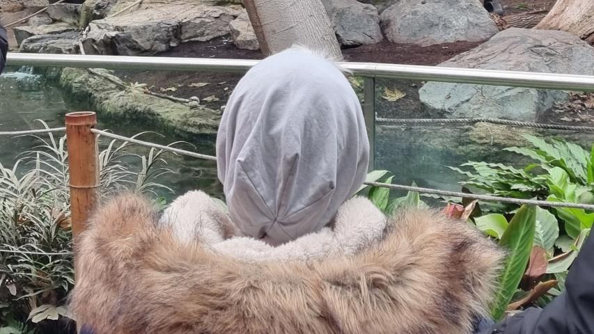Wunschfahrt zum Tierpark Hagenbeck