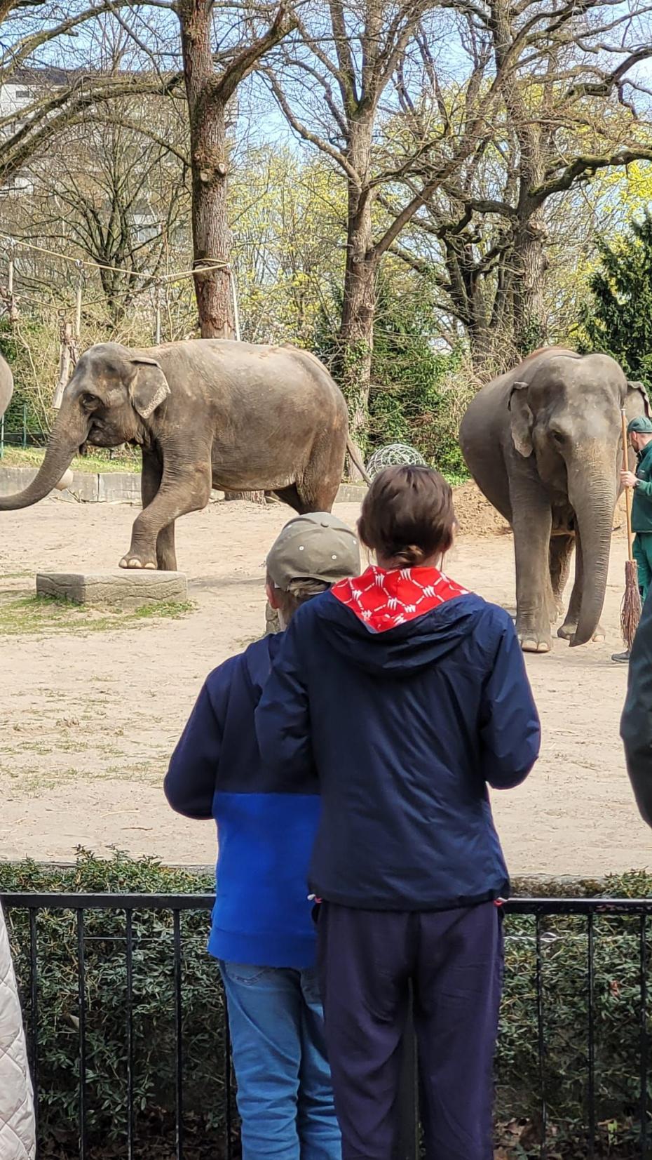 Wunschfahrt zum Tierpark Hagenbeck